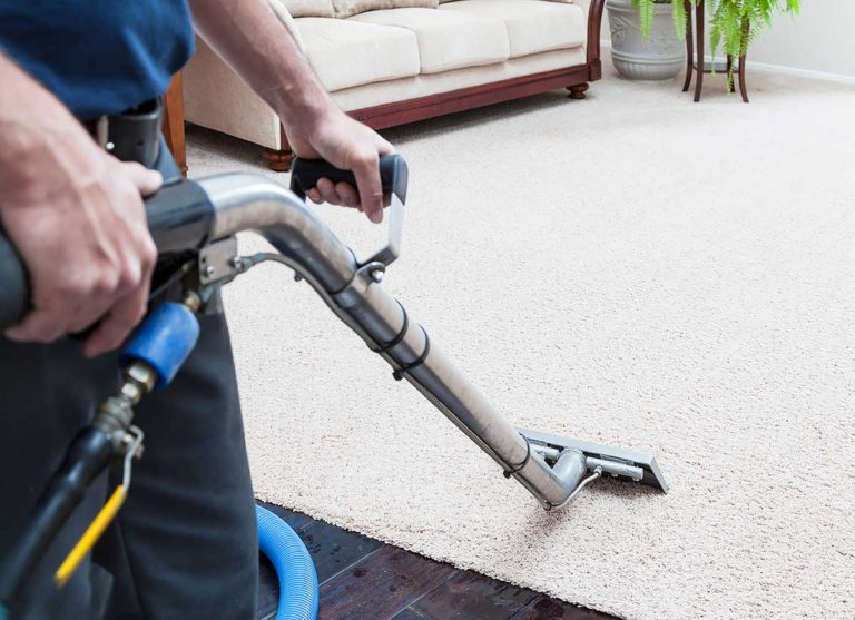 Carpet and area rug steam cleaning