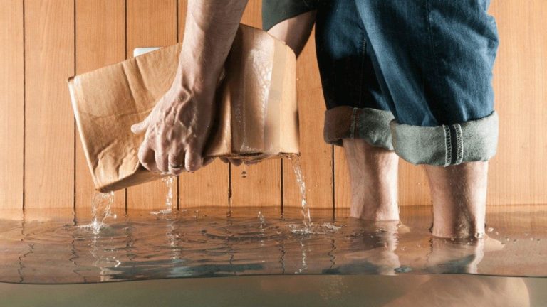 Water damage carpet extraction