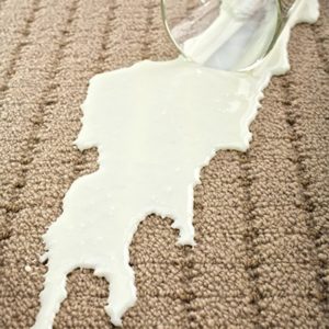 A Detailed look into UltiClean’s Carpet and Rug Cleaning Services