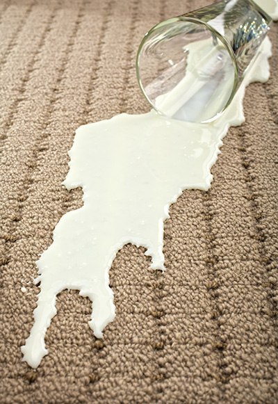 A Detailed look into UltiClean’s Carpet and Rug Cleaning Services