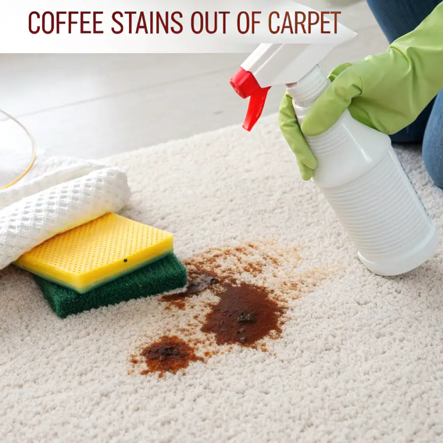 How to Get Coffee Stains Out of Carpet? How to Get Coffee Stains Out of Carpet?
